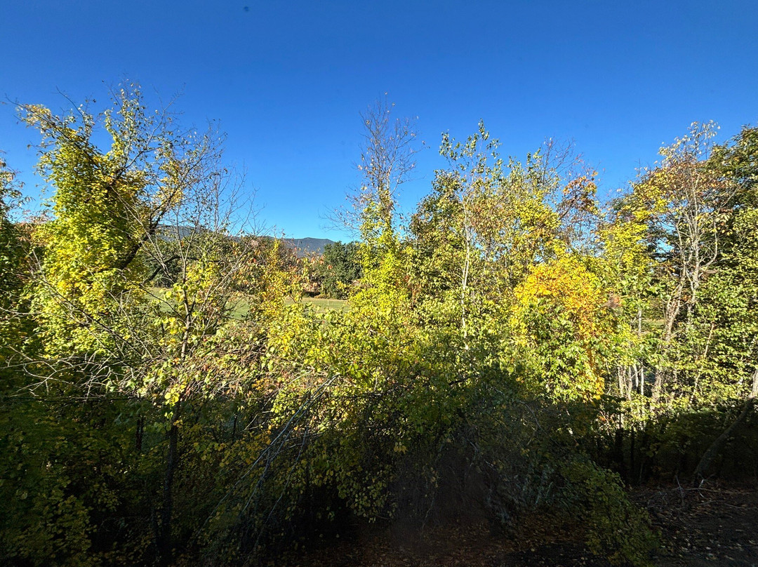 Conway Scenic Railroad-北康威必去景点