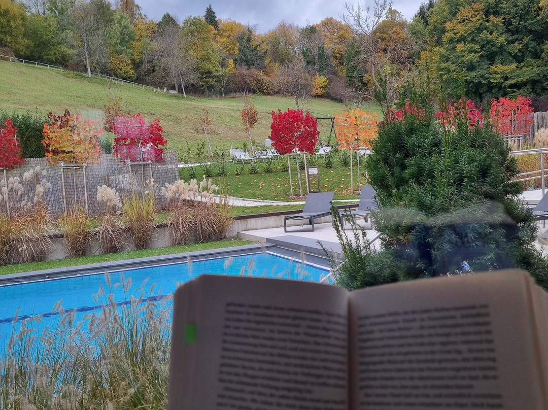 Heilthermen Resort Bad Waltersdorf主图