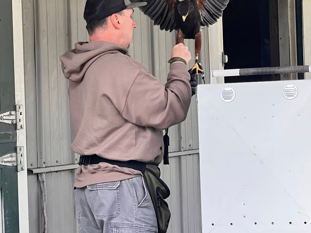 Masters Of The Skies-霍利必去景点