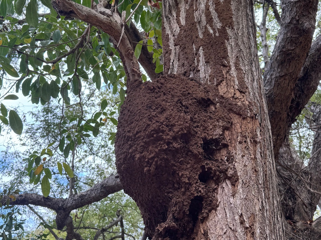 South Adventure Experience Ltd-钱米格兰尼尔必去景点