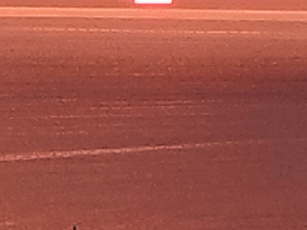 Belvedere Studios主图