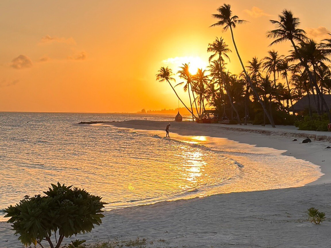 Footloose Yatra-班加罗尔必去景点