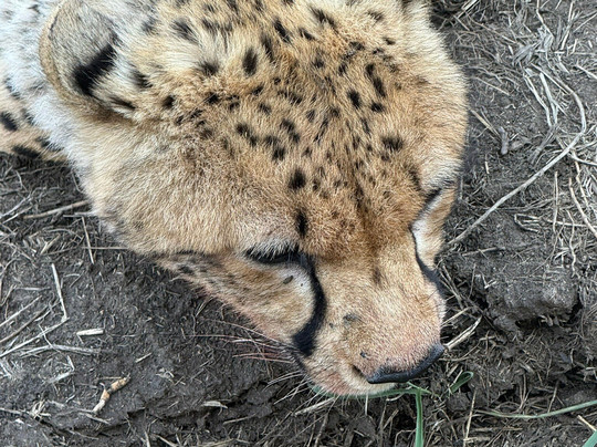 Active African Vacations-坎帕拉必去景点