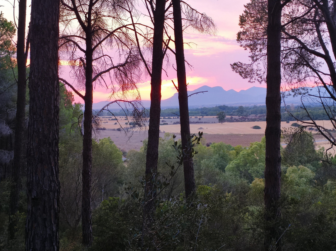 Castello di Acquafredda-Siliqua必去景点