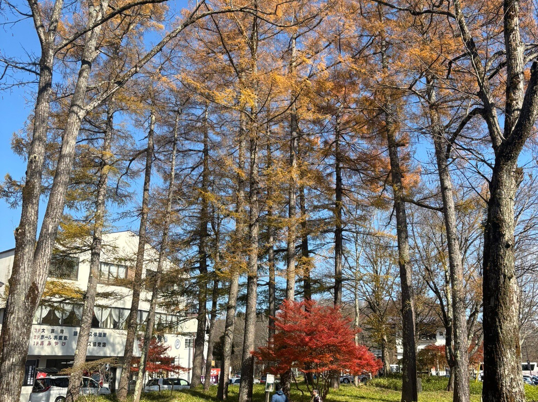 华严瀑布-日光市必去景点