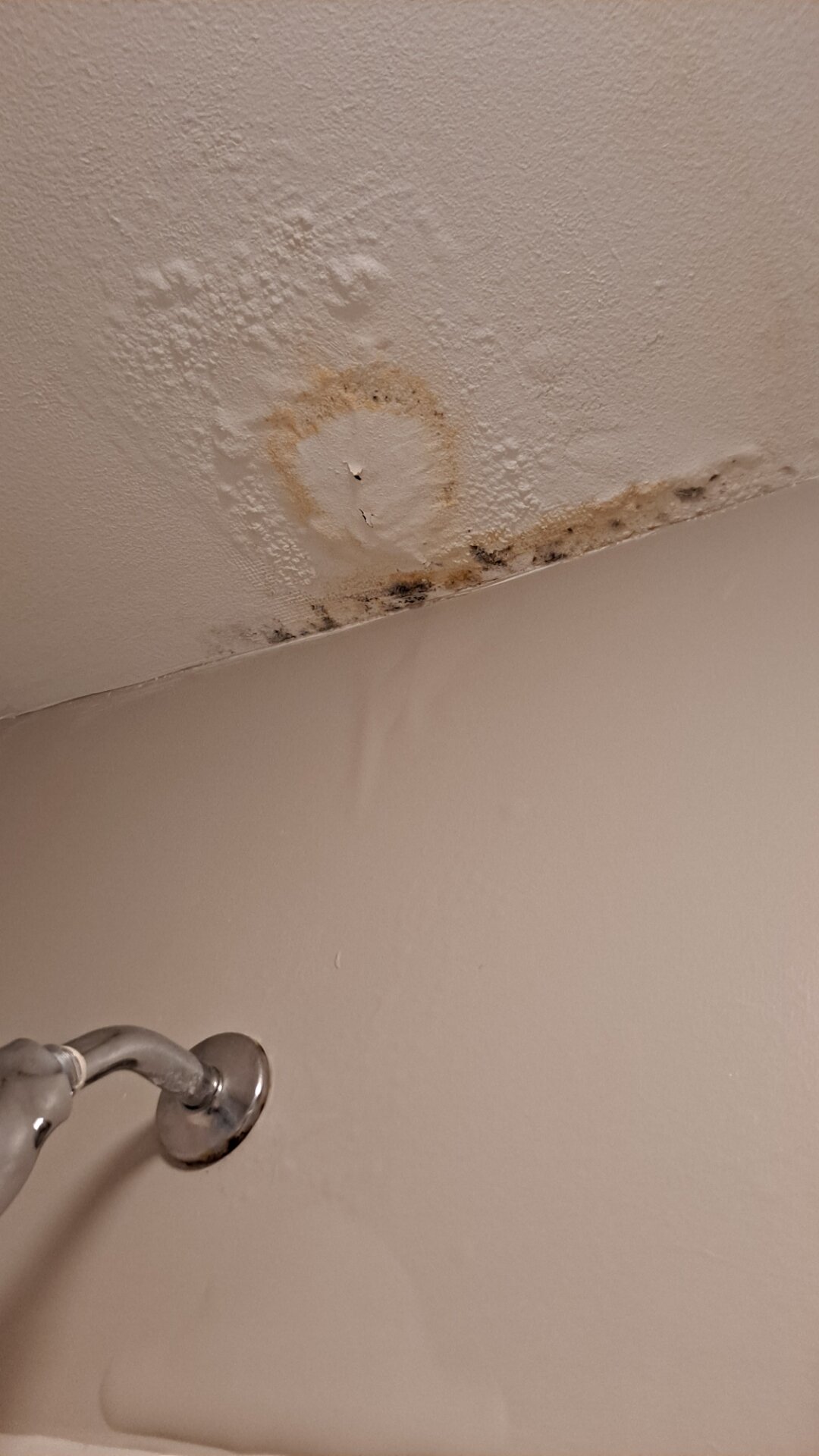 卡里隆海滩度假旅馆-浴室