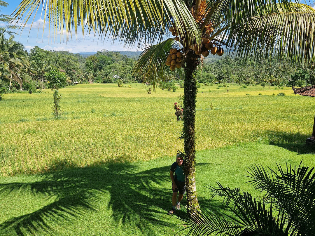 Bali Exotique-沙努尔必去景点