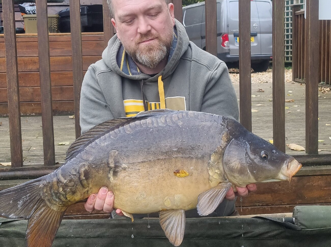 Cherry Lakes-南塞尔尼必去景点