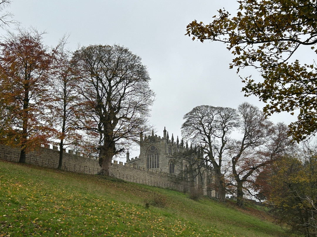 The Auckland Project