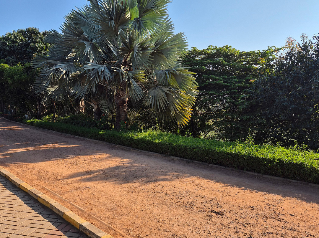 Yelahanka Lake-Yelahanka必去景点