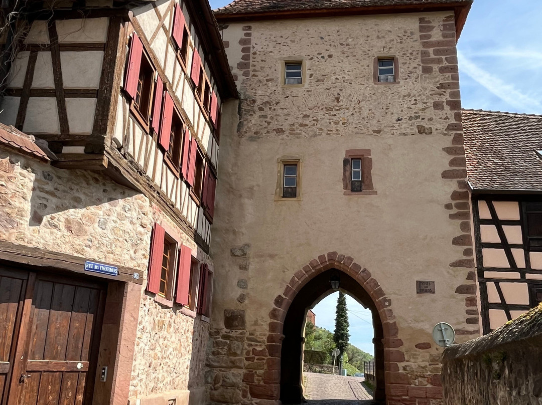 Vieille Ville de Turckheim-图克汉必去景点