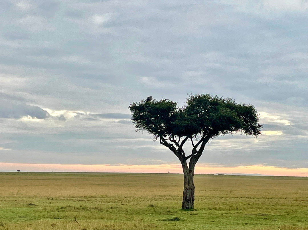 Sunworld Safaris-内罗毕必去景点