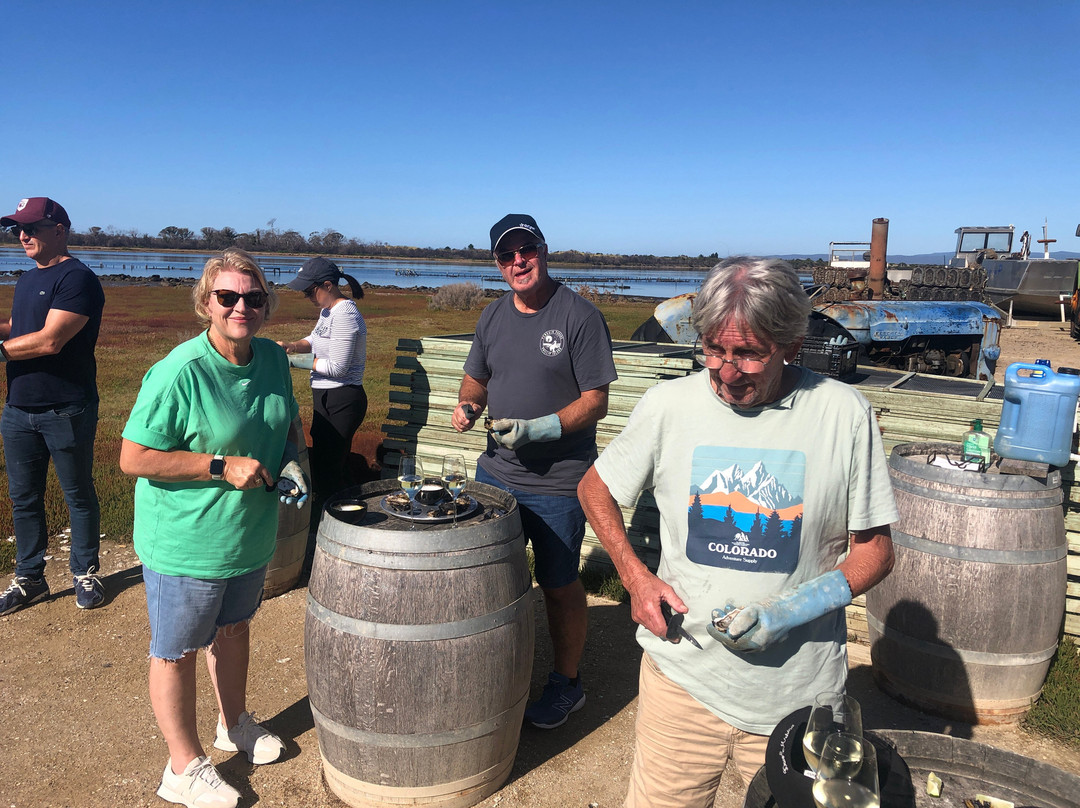 Oyster Bay Tours-科尔斯湾必去景点