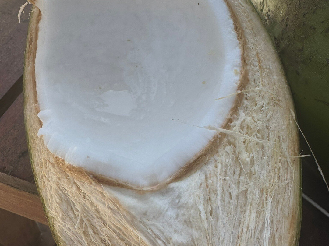 Jaragua Turismo-Maceio必去景点