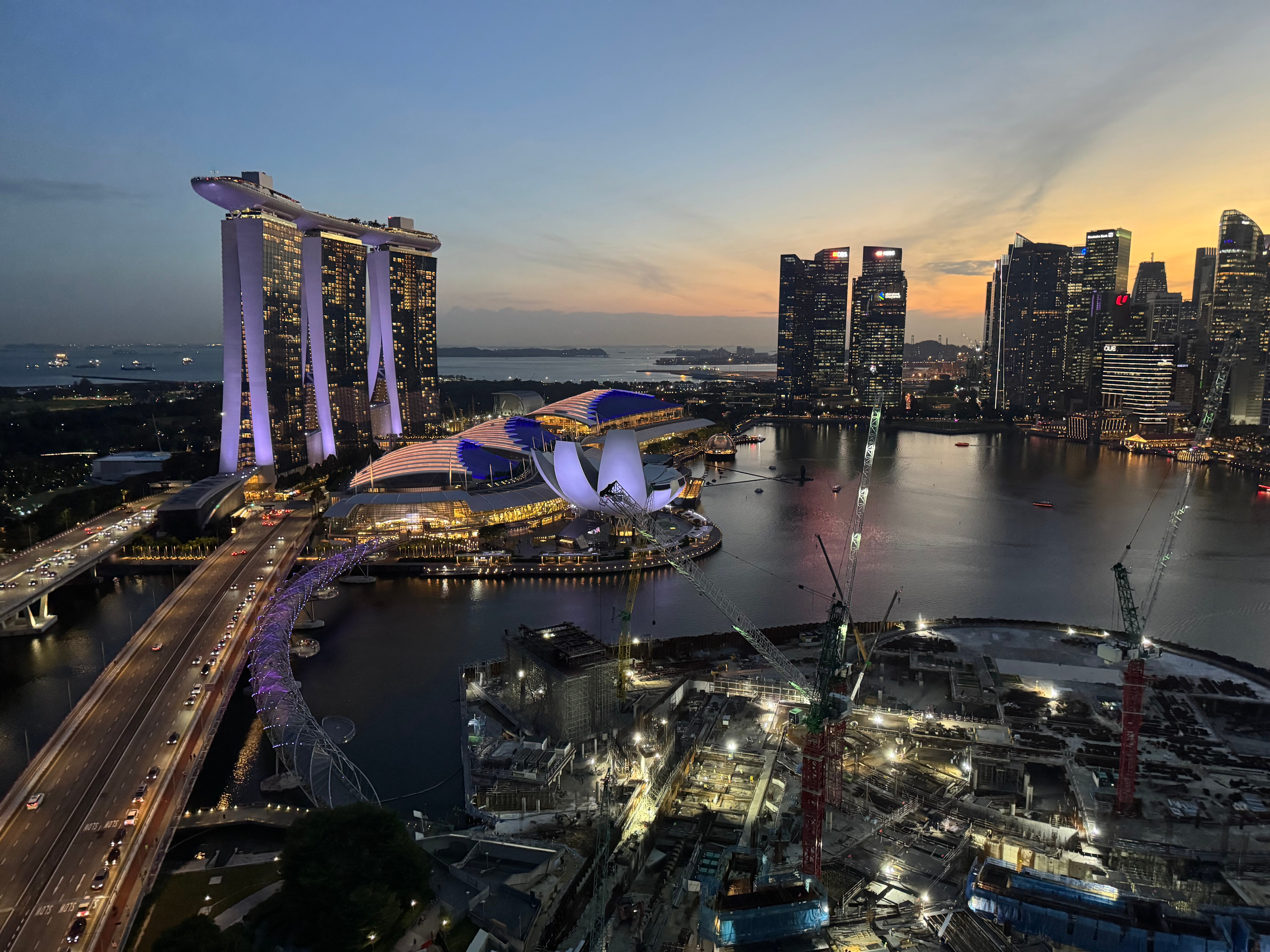 新加坡美年丽思卡尔顿酒店-酒店景观