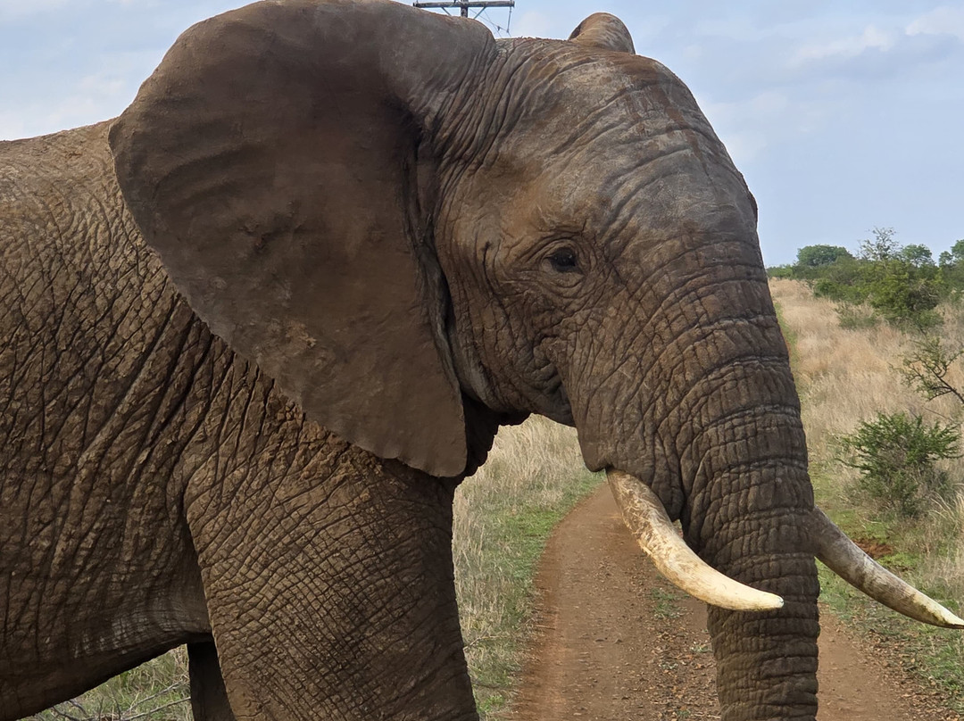 Royal Safaris-库马堤港必去景点