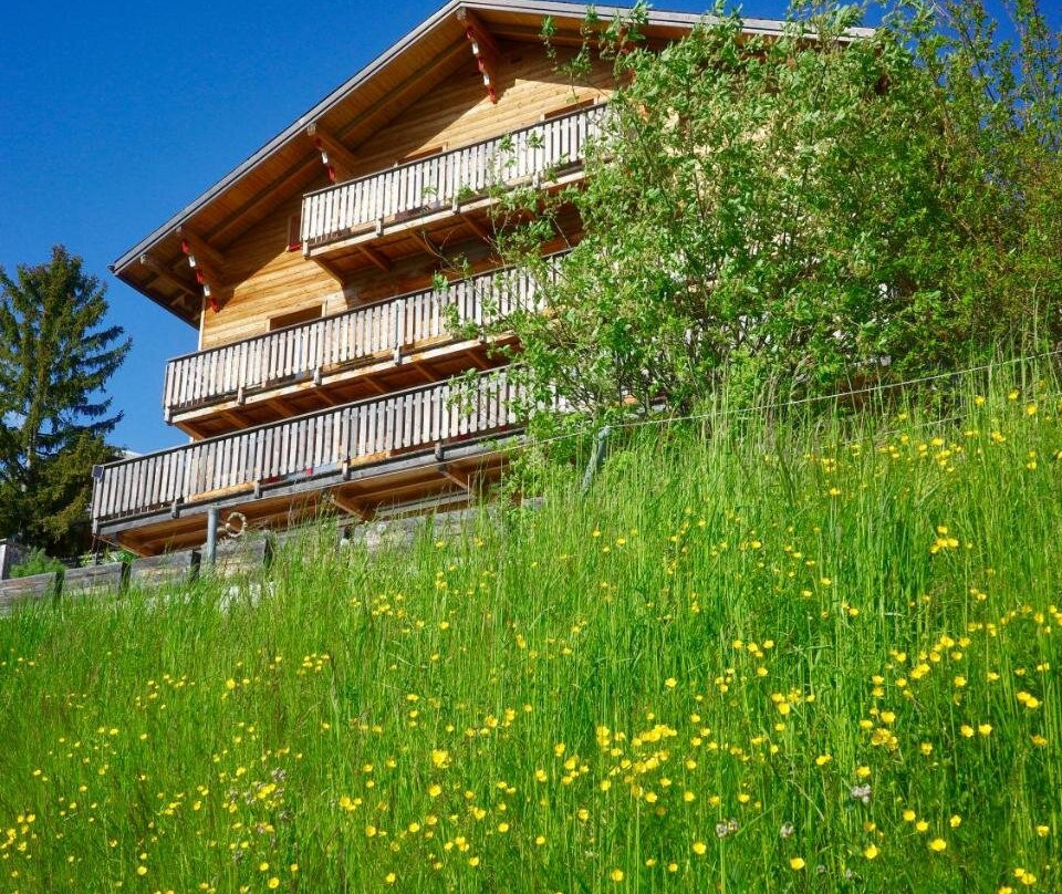 Susten酒店住宿-Haus Rhodania