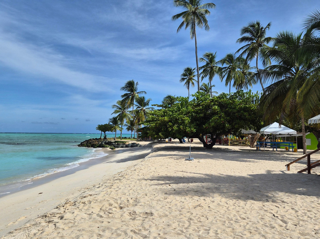 Shepherd's Inn主图