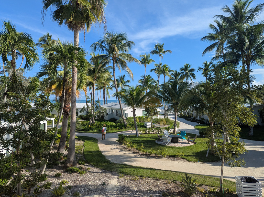 松树&棕榈树度假极度主图