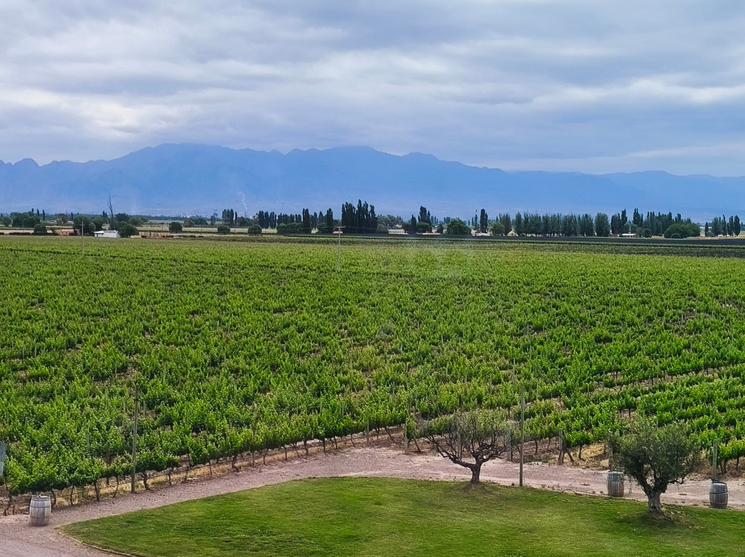 Bodegas Belasco de Baquedano-阿格雷洛必去景点