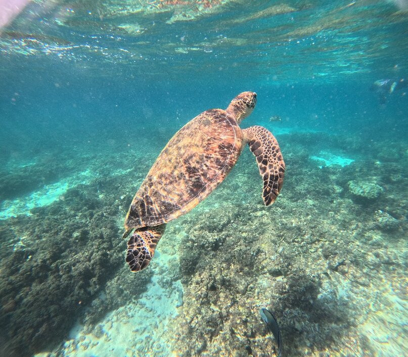 Daymaniyat Islands Nature Reserve-锡卜必去景点