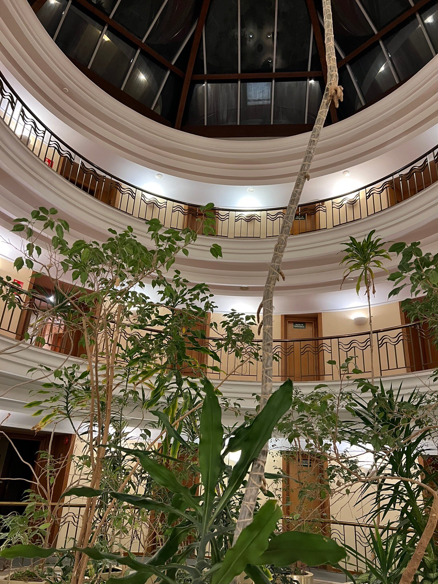 胡约拉酒店-官方