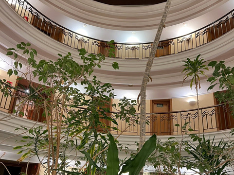 胡约拉酒店主图