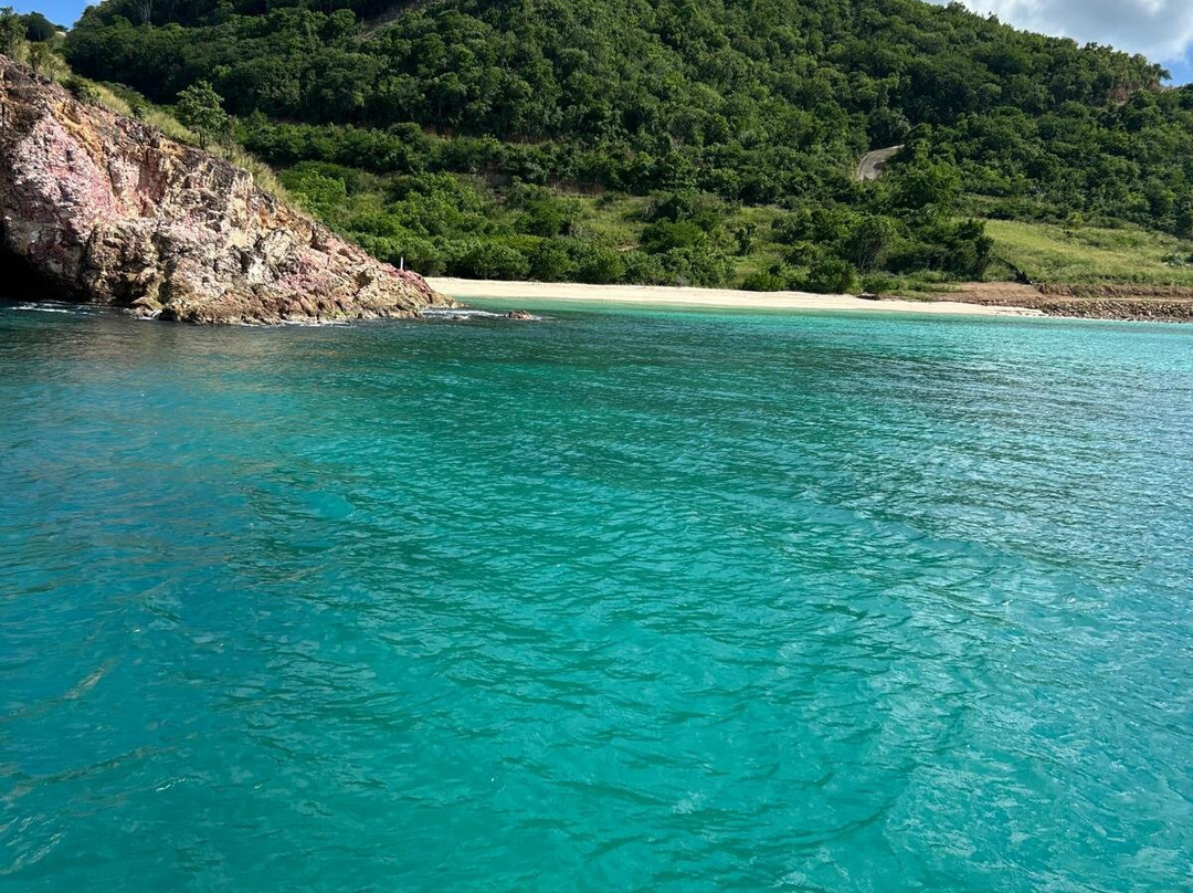 Wadadli Cats-安提瓜必去景点