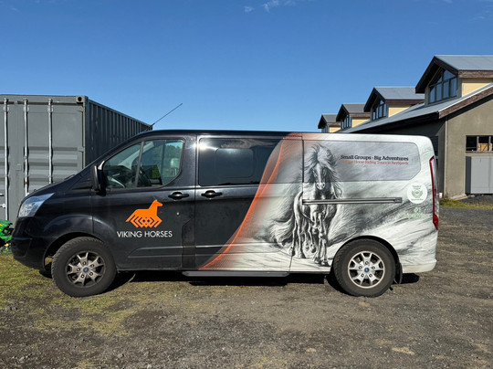 Viking Horses-雷克雅未克必去景点