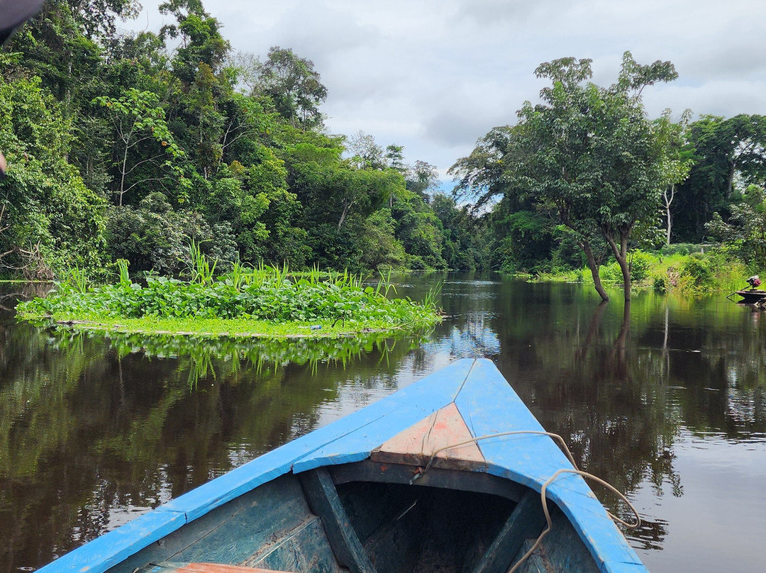 Amazonian Trails-伊基托斯必去景点