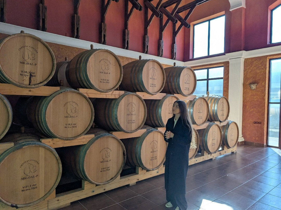 WineTours Moldova-基希讷乌必去景点