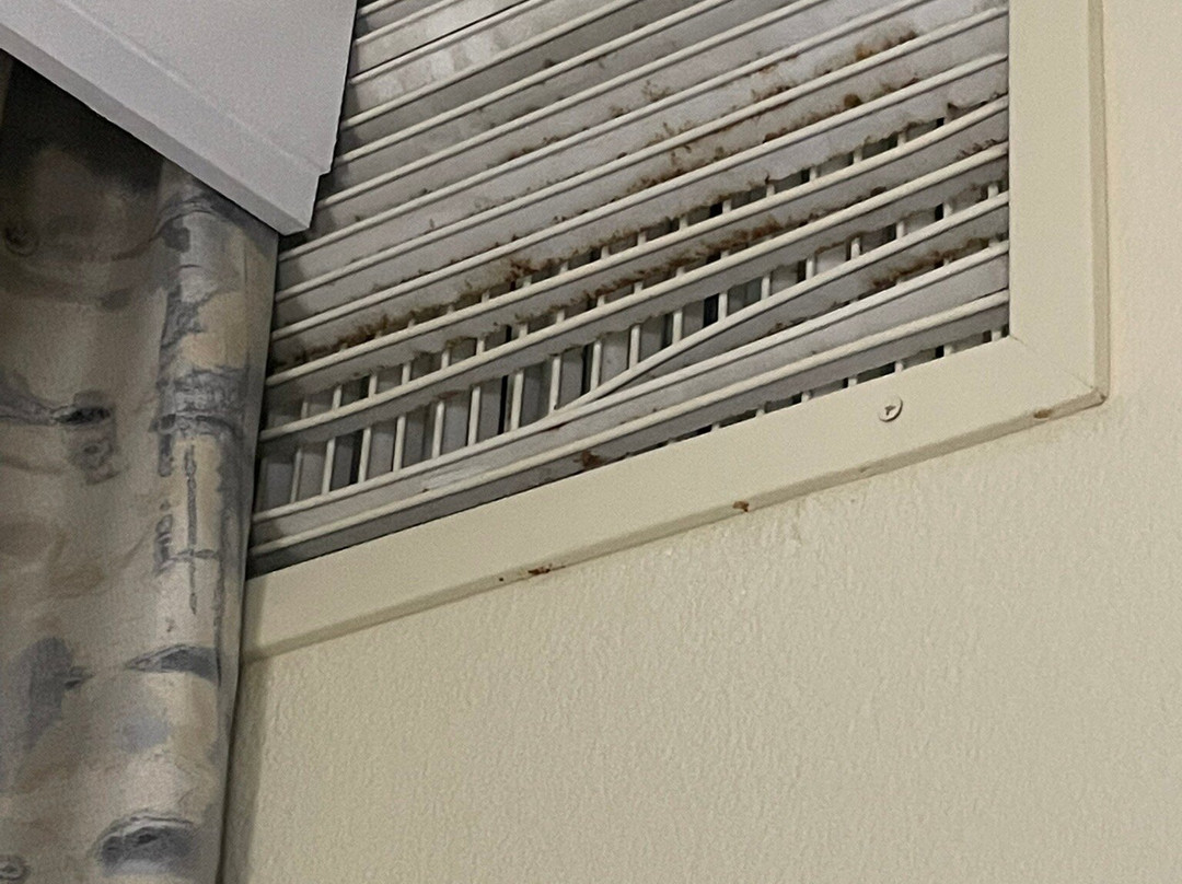 Hampton Inn Great Falls主图