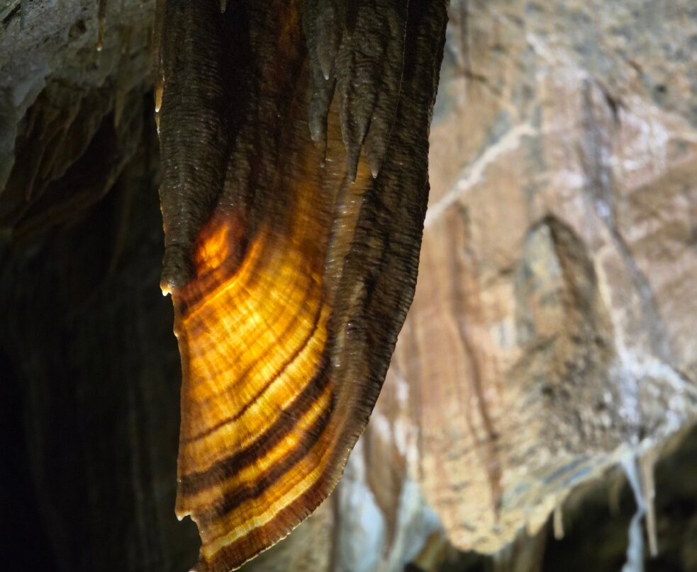 Gunns Plains Caves-Gunns Plains必去景点