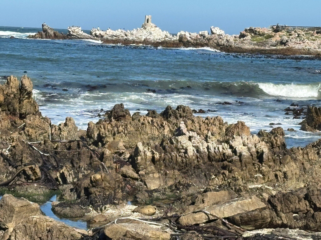 Kleinmond Beach-小月必去景点