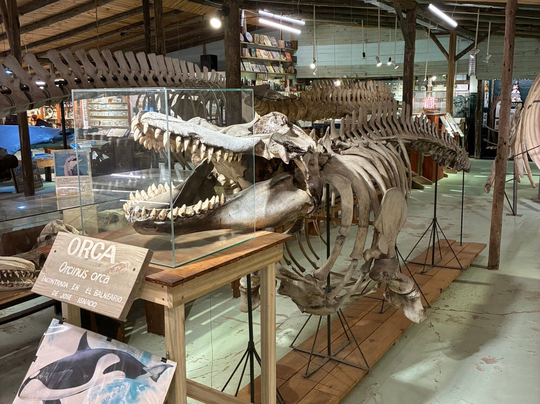 海洋博物馆-La Barra必去景点