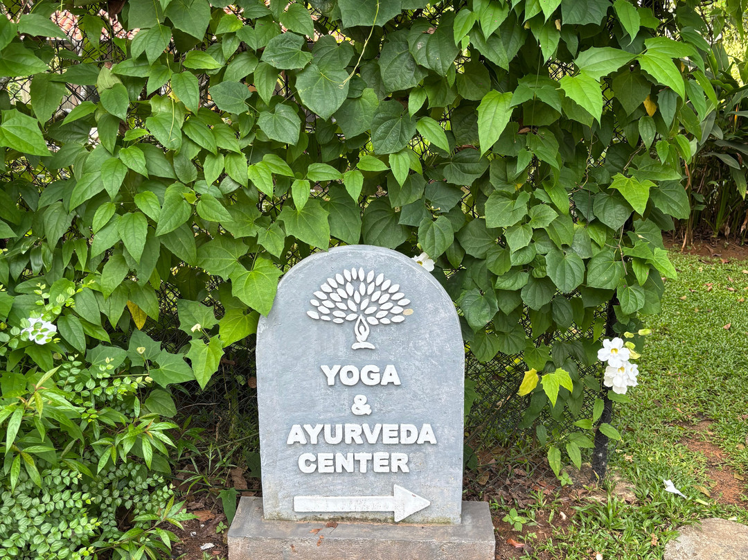 塔玛林德树酒店主图