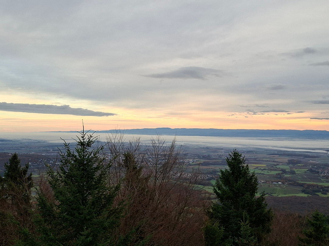 Sanctuaire du Mont Sainte Odile-奥特罗特必去景点