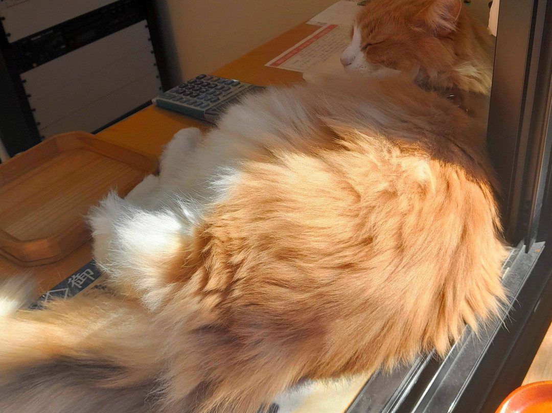 Myogi Shrine-Komagome必去景点