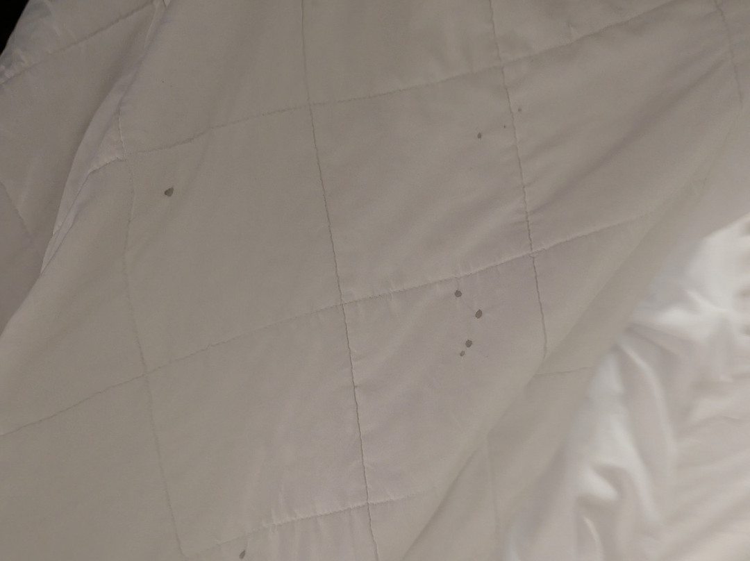 Home2 Suites by Hilton Beaumont主图