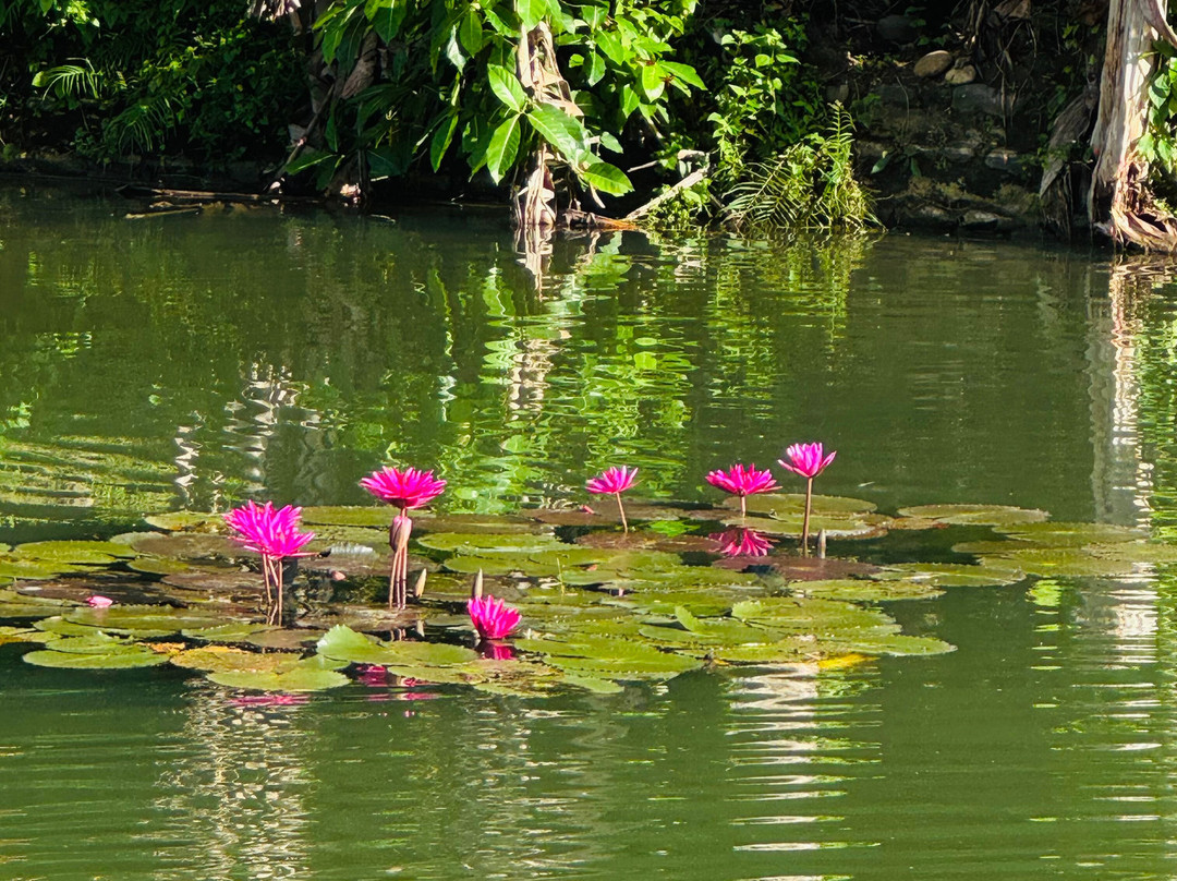 Eco Explorations-马尼拉必去景点