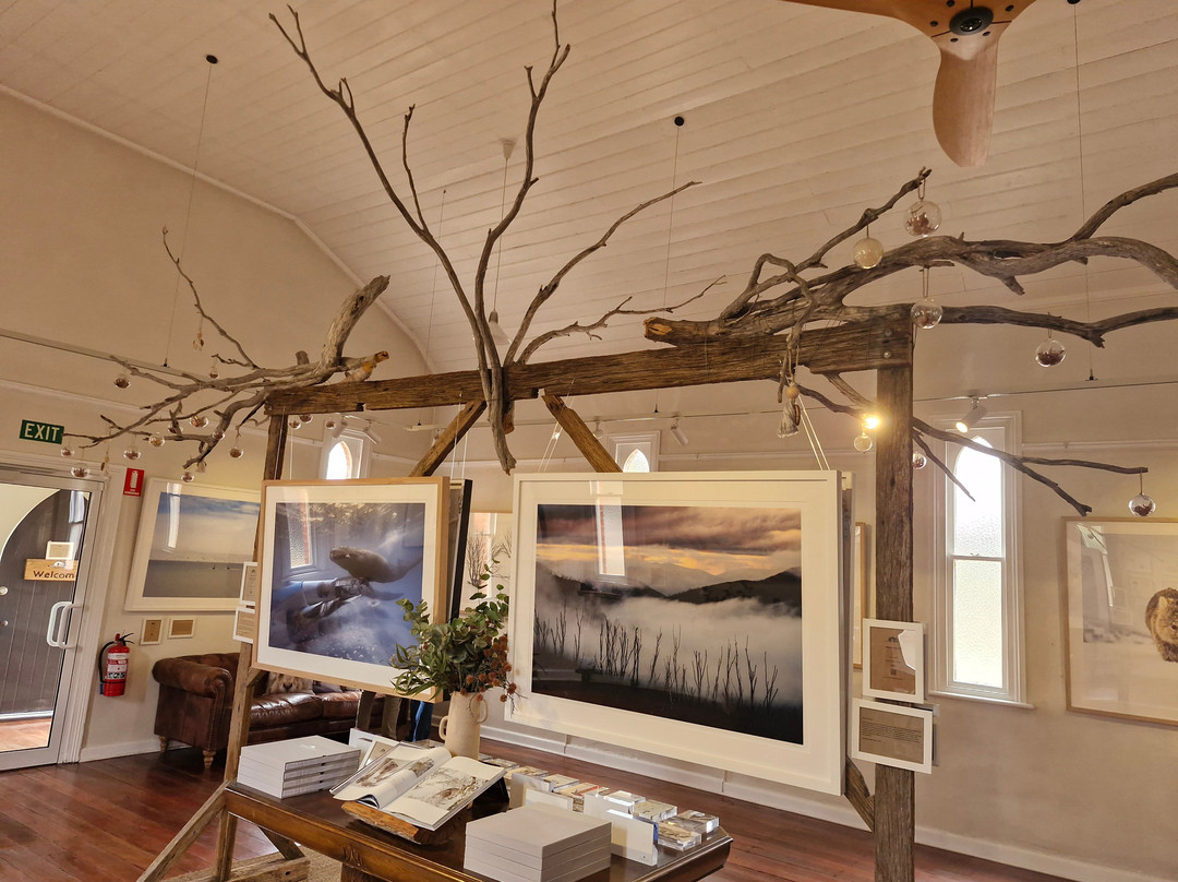 Charles Davis Photography Gallery