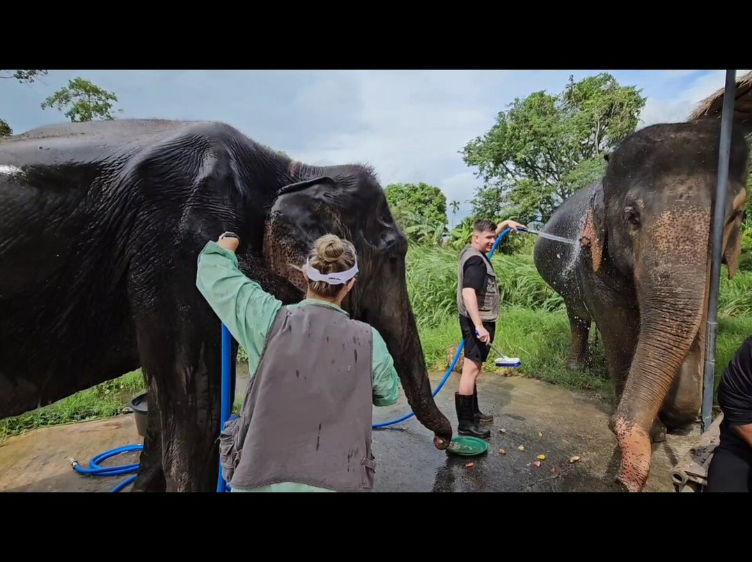 I Love Elephant Samui-Na Mueang必去景点