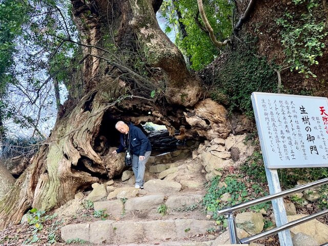 Oyamazumi Shrine-今治市必去景点