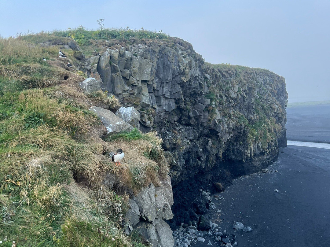 迪霍拉里海岬-维克必去景点
