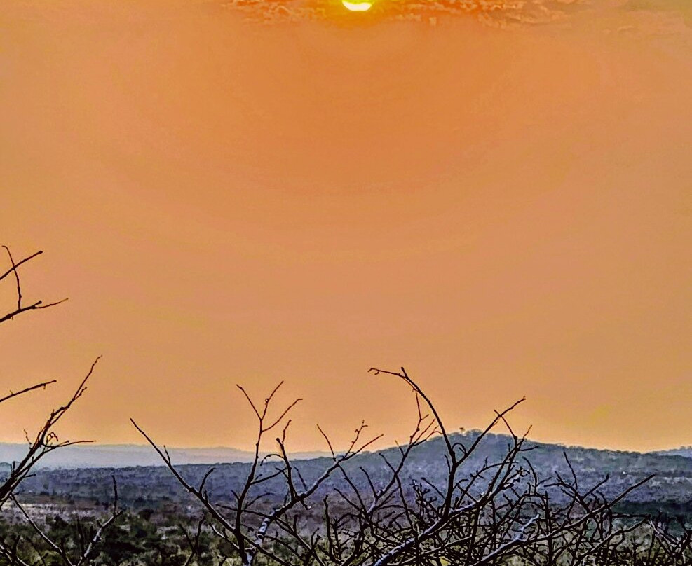 Etosha National Park-Okaukuejo必去景点
