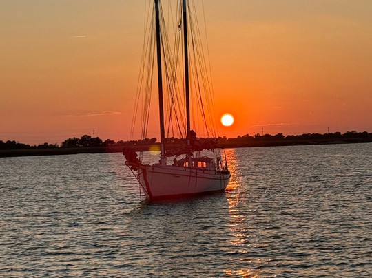 Captain Derek's Dolphin Adventure-泰碧岛必去景点