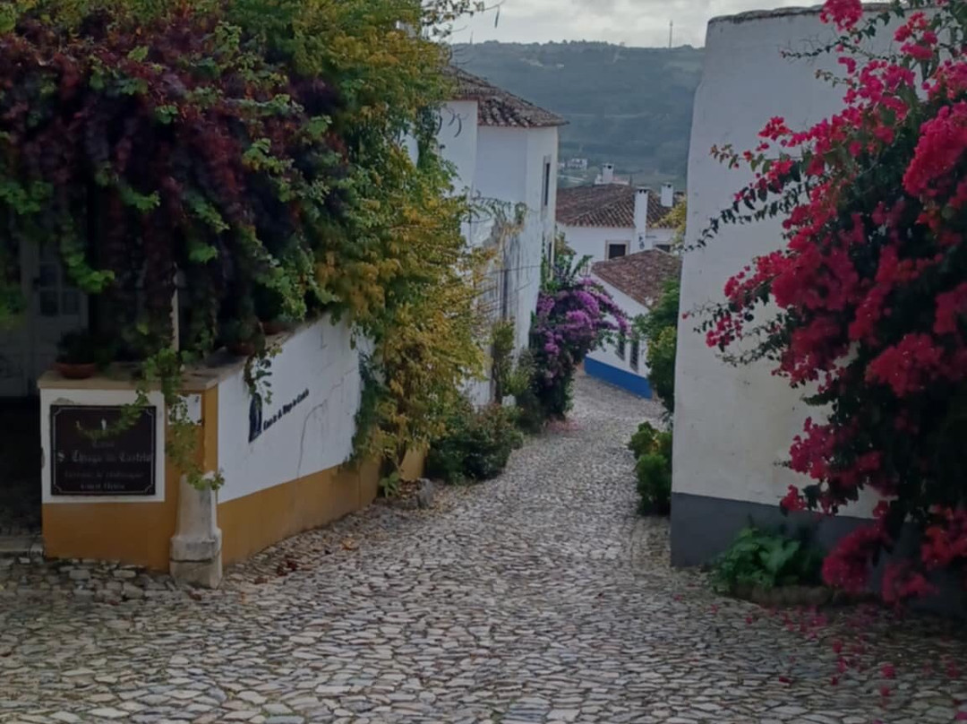 Rua Direita-奥比都斯必去景点