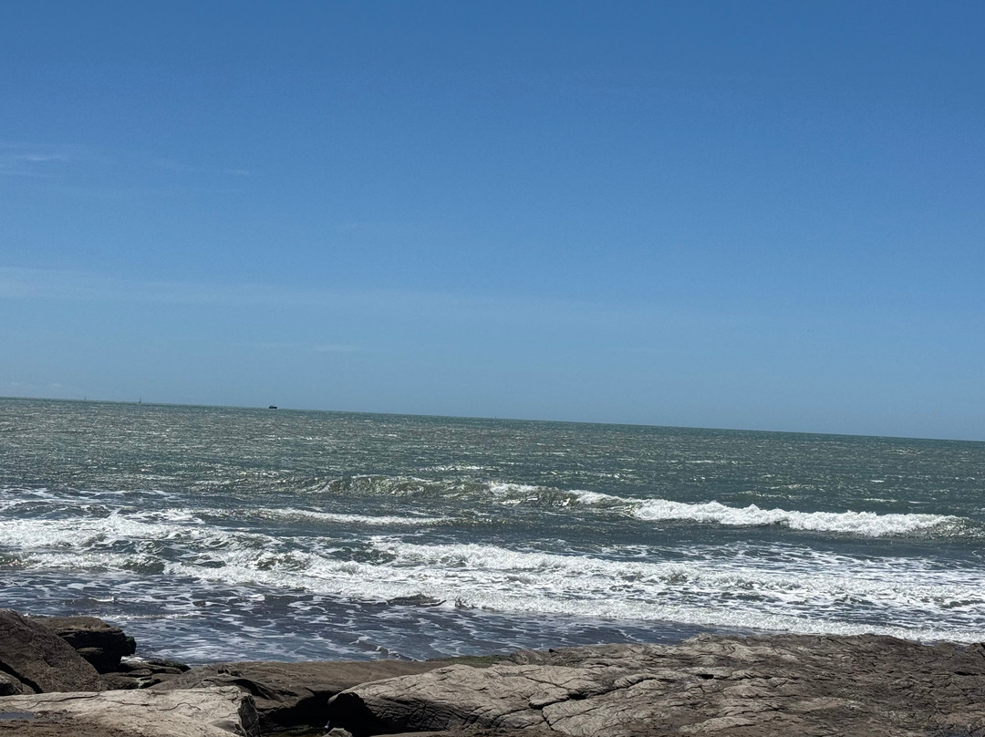 Bosque Peralta Ramos-马德普拉塔必去景点