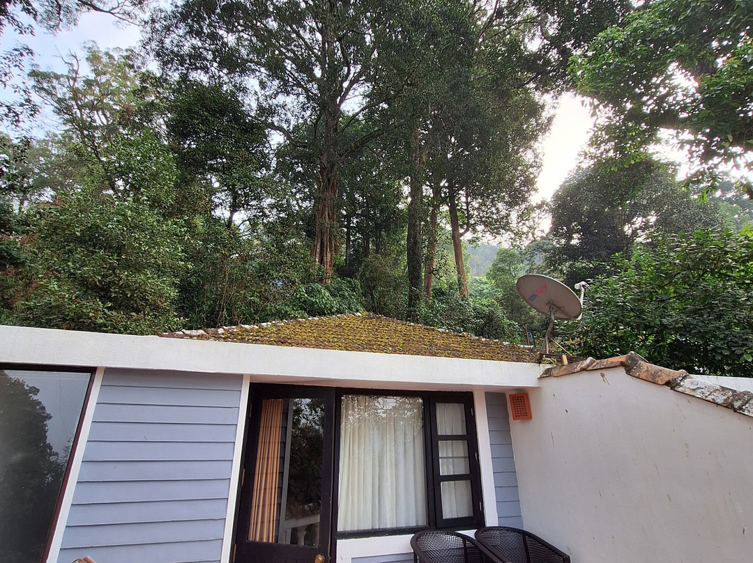 WGH Tall Trees Munnar主图