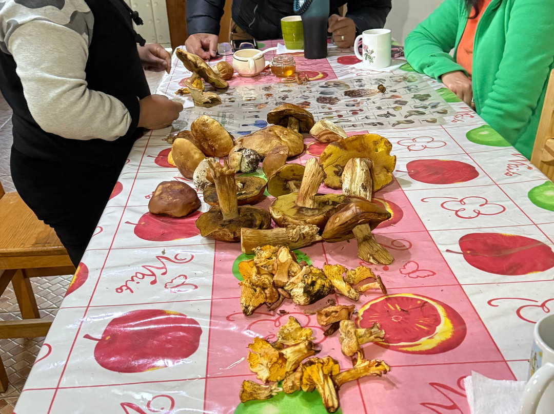 Pueblos Mancomunados-瓦哈卡必去景点